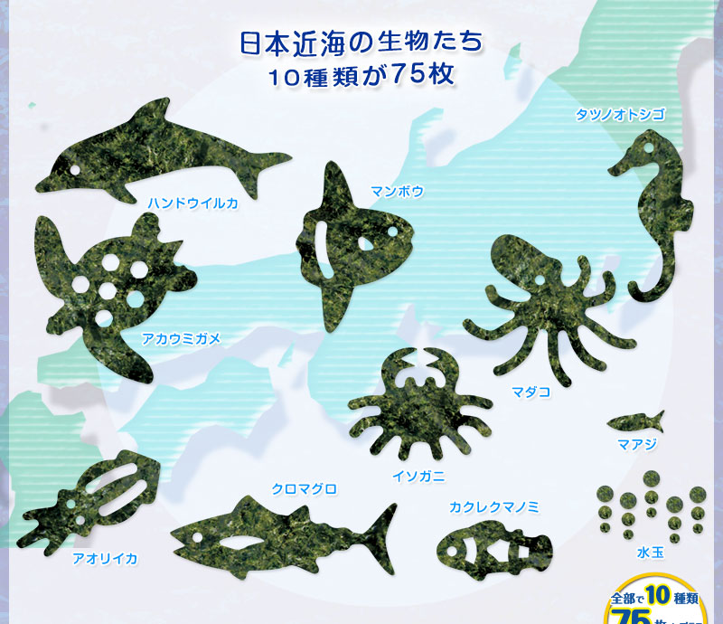 日本近海の生物カット焼きのり 型抜き内容〜日本近海の生物たちが、全部で10種類75枚と、色々な大きさの水玉形、ハンドウイルカ、タツノオトシゴ、アカウミガメ、マンボウ、イソガニ、マダコ、クロマグロ、カクレクマノミ、アオリイカ、マアジ、水玉 日本近海の生物カット焼きのり 型抜き内容