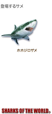 登場するサメ〜シャクスオブザワールド〜ホホジロザメ 登場するサメ〜シャクスオブザワールド〜ホホジロザメ
