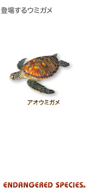 登場するウミガメ〜アオウミガメ〜エンデンジャード スピーシーズ 登場するウミガメ〜アオウミガメ〜エンデンジャード スピーシーズ
