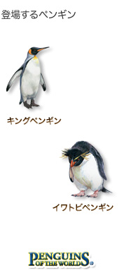 登場するペンギン〜キングペンギン イワトビペンギン〜ペンギン オブ ザ ワールド 登場するペンギン〜キングペンギン イワトビペンギン〜ペンギン オブ ザ ワールド
