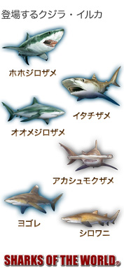 登場するサメ〜ホホジロザメ イタチザメ オオメジロザメ アカシュモクザメ ヨゴレ シロワニ〜シャークス オブ ザ ワールド 登場するサメ〜ホホジロザメ イタチザメ オオメジロザメ アカシュモクザメ ヨゴレ シロワニ〜シャークス オブ ザ ワールド