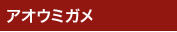アオウミガメ アオウミガメ