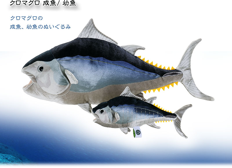 アル 動物 生物 ぬいぐるみ クロマグロ 成魚 / 幼魚