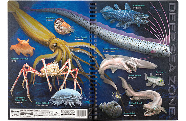 セミB5 リングノート 深海生物│動物 カロラータ オンラインショップ