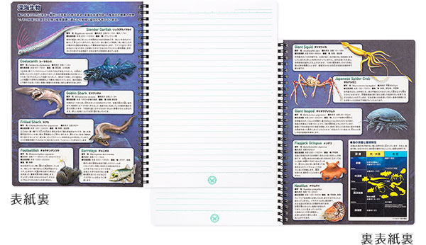 生物　ノート 9784010345177_600.jpg?