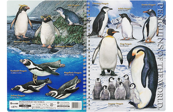 セミB5 リングノート ペンギン│動物 カロラータ オンラインショップ