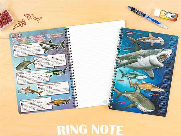 セミB5 リングノート シャーク│動物 カロラータ オンライン