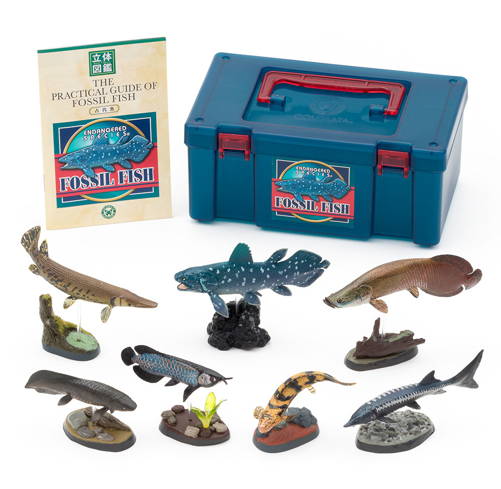 魚フィギュアばら売り 楽天市場】動物 リアル フィギュア 立体図鑑フォッシル