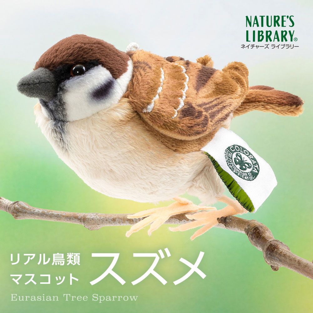 COLORATA 動物ぬいぐるみセット カロラータ オンラインショップ