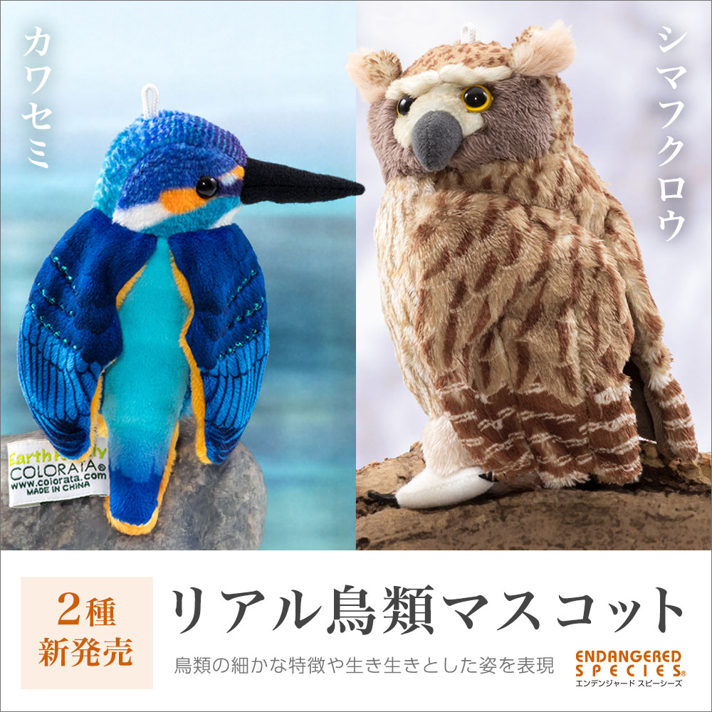 カロラータ オンラインショップ