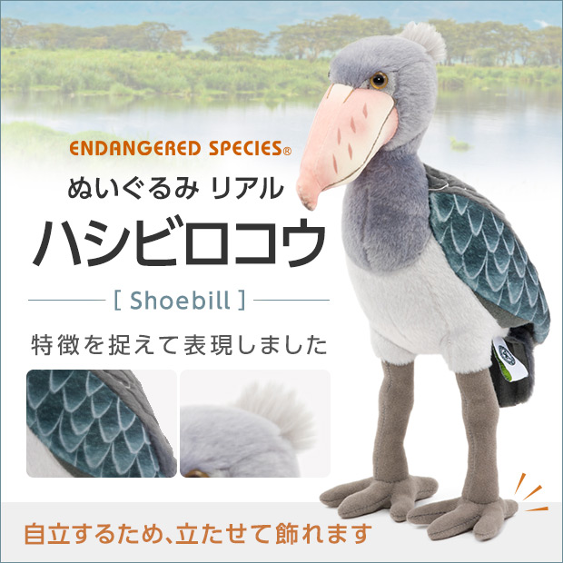 COLORATA 動物ぬいぐるみセット カロラータ オンラインショップ
