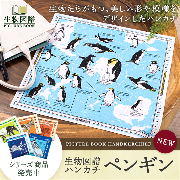 カロラータ オンラインショップ