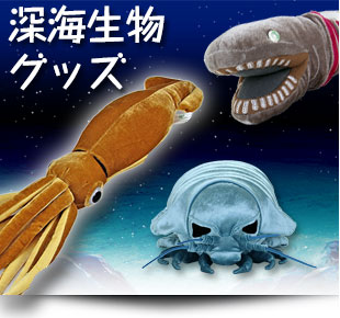 カロラータ人気の深海生物のグッズ