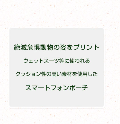 X}[gtH|[` Ŋ뜜