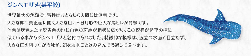 WxGU̓