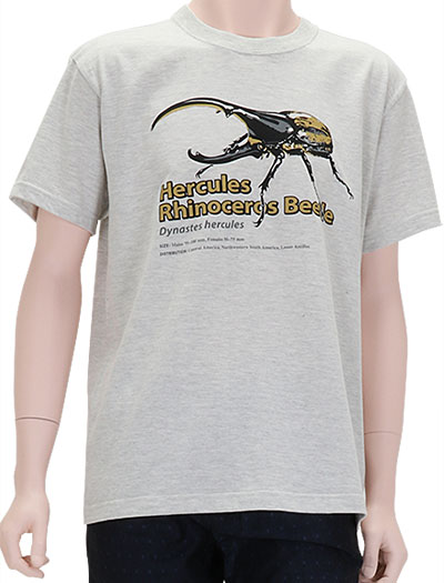 動物 生物 ミュージアムデザイン Tシャツ ヘラクレスオオカブト ライトグレー S M Lサイズ 半袖 カロラータ オンラインショップ
