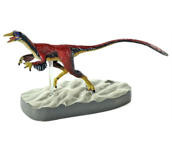 立体図鑑羽毛恐竜プレミアムボックス シノサウロプテリクス フィギュア