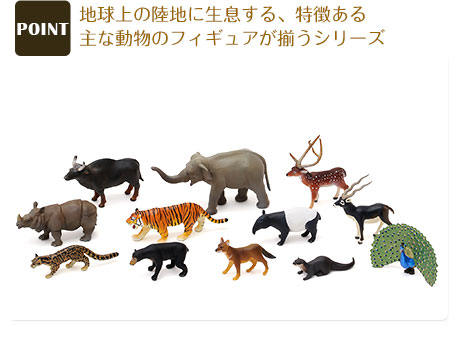 動物 生物 立体図鑑 動物地理区 東洋区ボックス カロラータ オンラインショップ