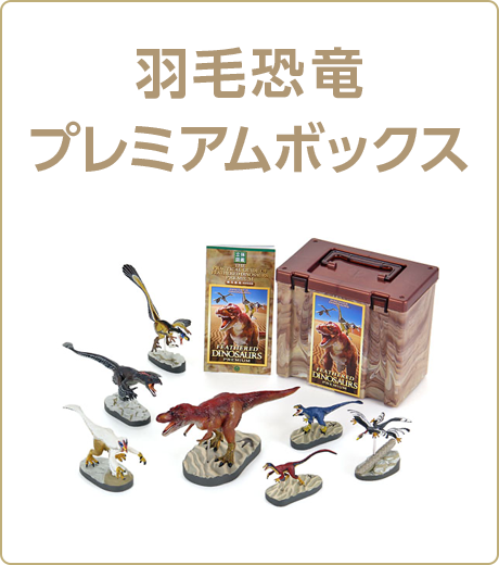 動物 生物 立体図鑑 ディノボックスVOL．3 / カロラータ