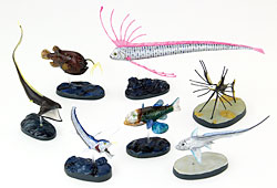 立体図鑑 ディープシーフィッシュボックス