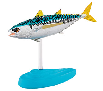 動物 生物 立体図鑑 ソルトウォーターフィッシュボックス カロラータ オンラインショップ