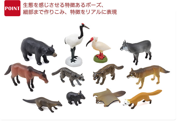 動物 生物 立体図鑑 日本の動物ボックス カロラータ オンラインショップ