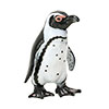 立体図鑑ペンギンボックス ケープペンギン フィギュア