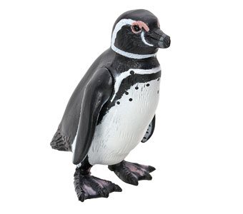 立体図鑑ペンギンボックス マゼランペンギン フィギュア