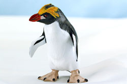 立体図鑑 ペンギンボックス マカロニペンギン
