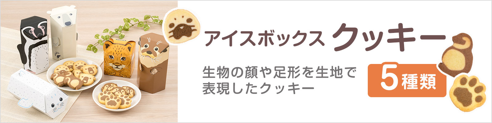 �A�C�X�{�b�N�X�N�b�L�[ �Ă��َq �m�َq