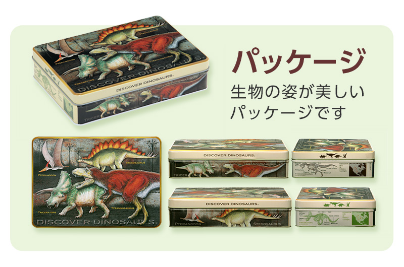 ダイナソー チョコレート│動物 カロラータ オンラインショップ