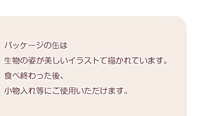 ʃpbP[W