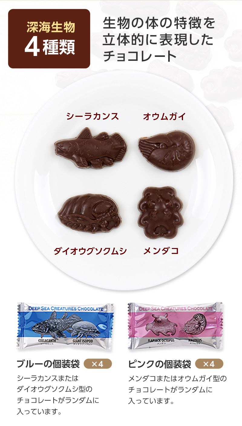 深海生物 チョコレート（8個）