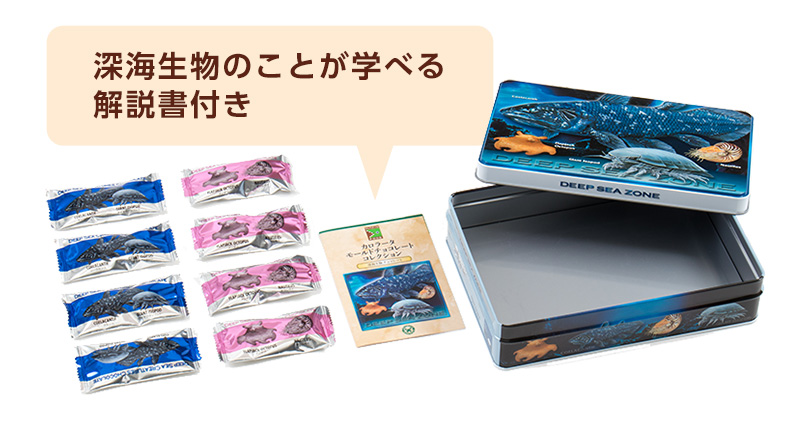 深海生物 チョコレート│動物 カロラータ オンラインショップ