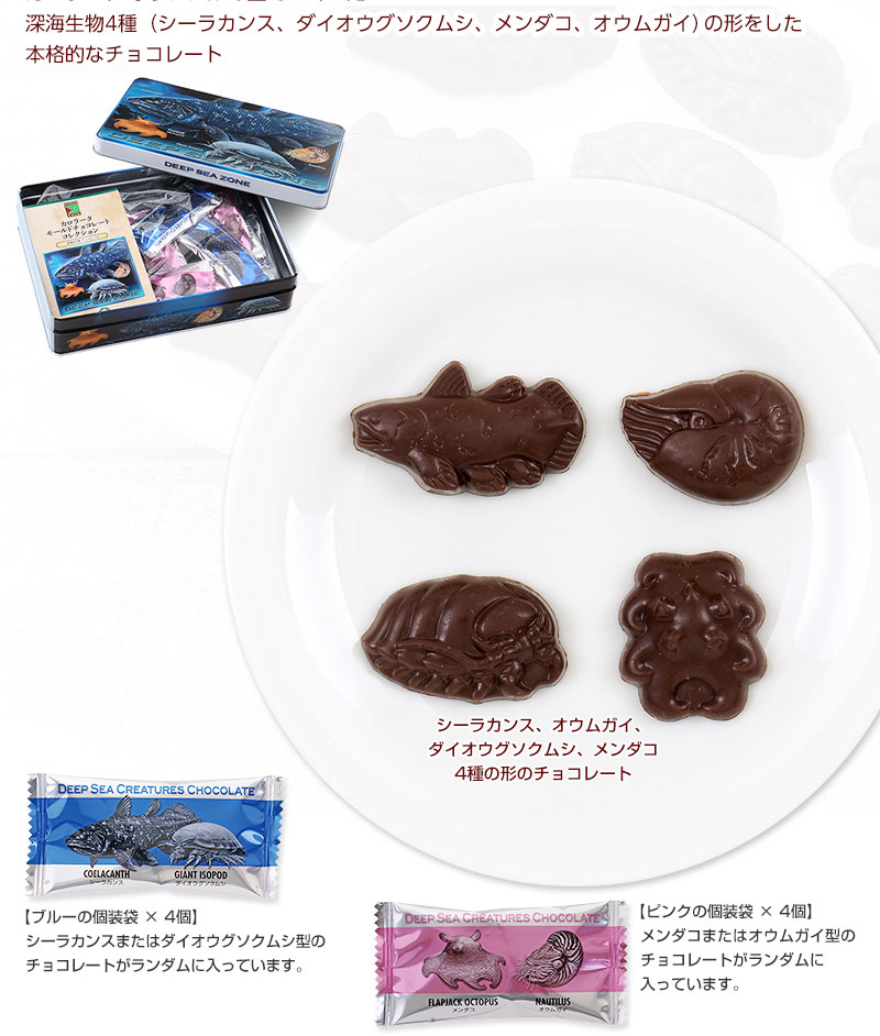 シーラカンス、ダイオウグソクムシ、メンダコ、オウムガイ、4種の形のチョコレート チョコレートの種類