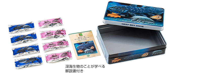 深海生物のことが学べる解説書付き 商品内容
