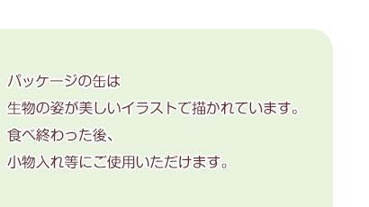 ʃpbP[W