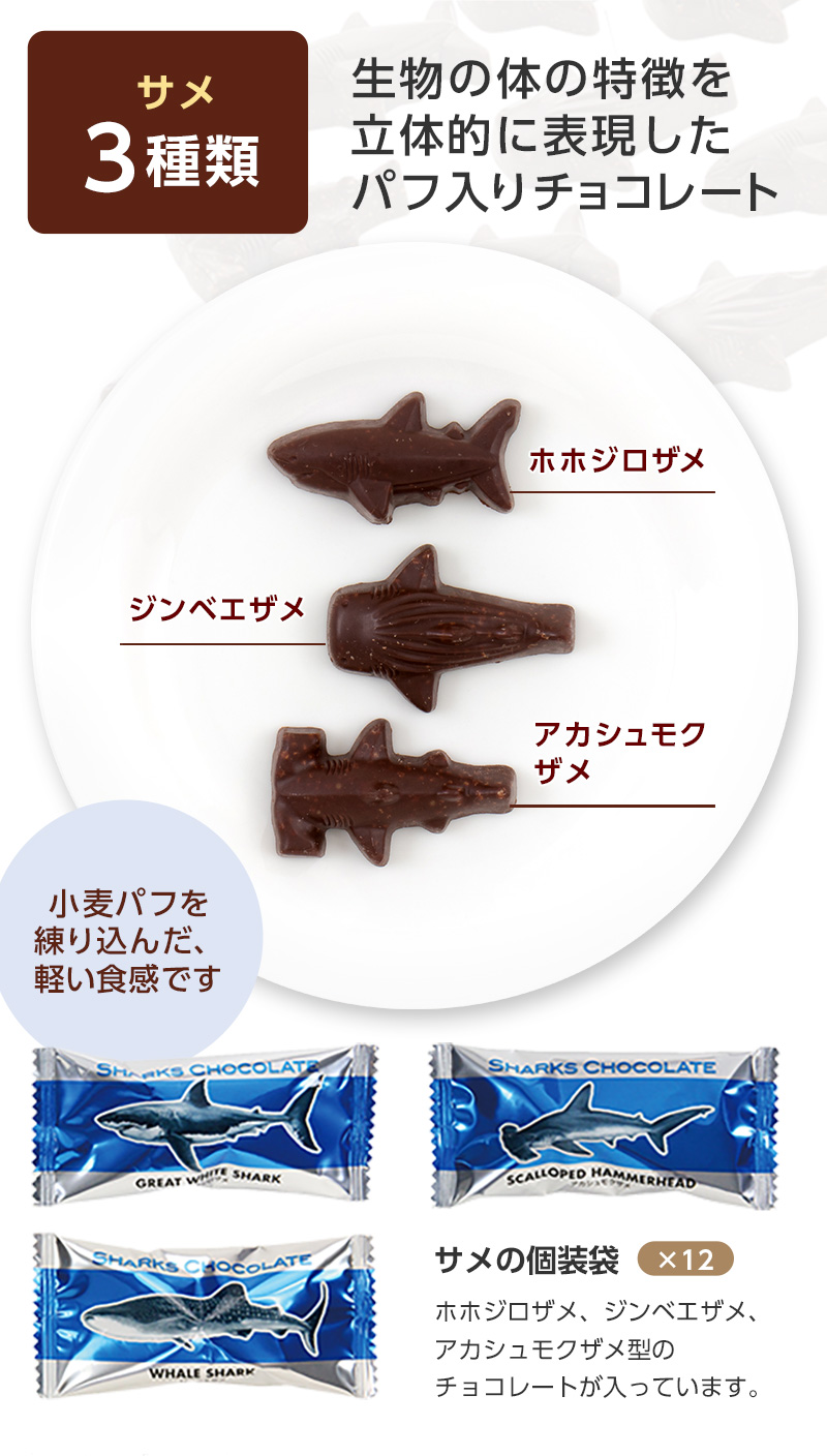 シャークス チョコレート（サメ 小麦パフ入 12個）│動物 カロラータ