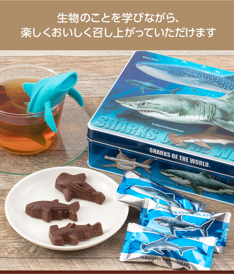 シャークス チョコレート（サメ 小麦パフ入 12個）│動物 カロラータ