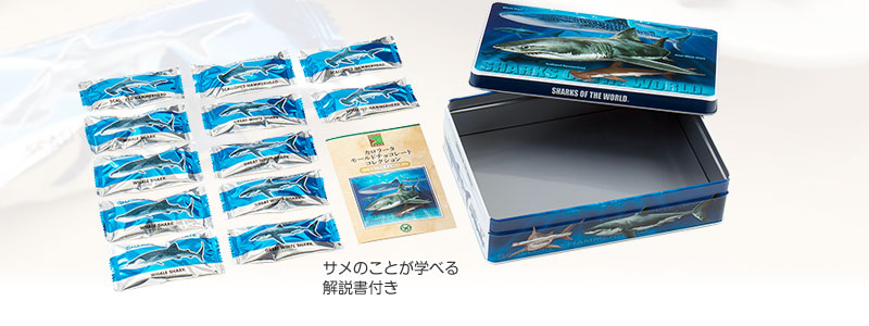 サメのことが学べる解説書付き 商品内容