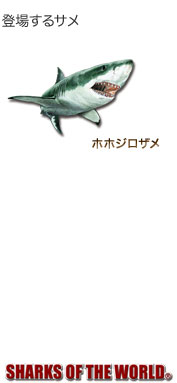 登場するサメ〜ホホジロザメ〜シャークス オブ ザ ワールド 登場するサメ〜ホホジロザメ〜シャークス オブ ザ ワールド