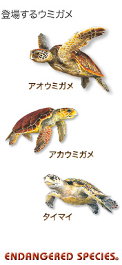登場するウミガメ〜アカウミガメ アオウミガメ タイマイ〜エンデンジャード スピーシーズ 登場するウミガメ〜アカウミガメ アオウミガメ タイマイ〜エンデンジャード スピーシーズ