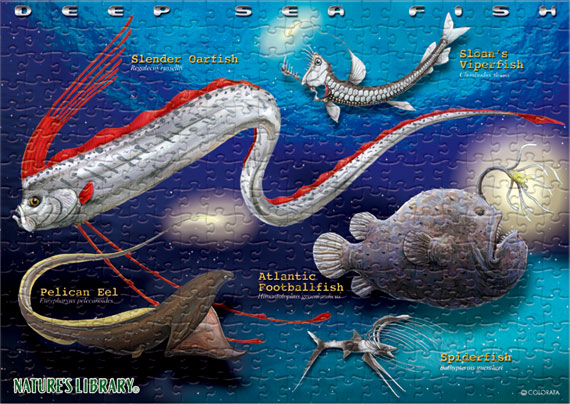 深海魚/B5サイズ・330ピース リアルジグソーパズル