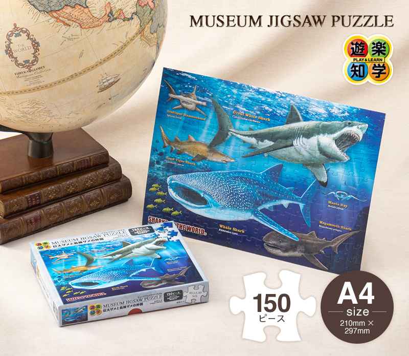 ミュージアム ジグソーパズル/150ピース 巨大ザメと危険ザメの仲間