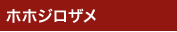 ホホジロザメ ホホジロザメ
