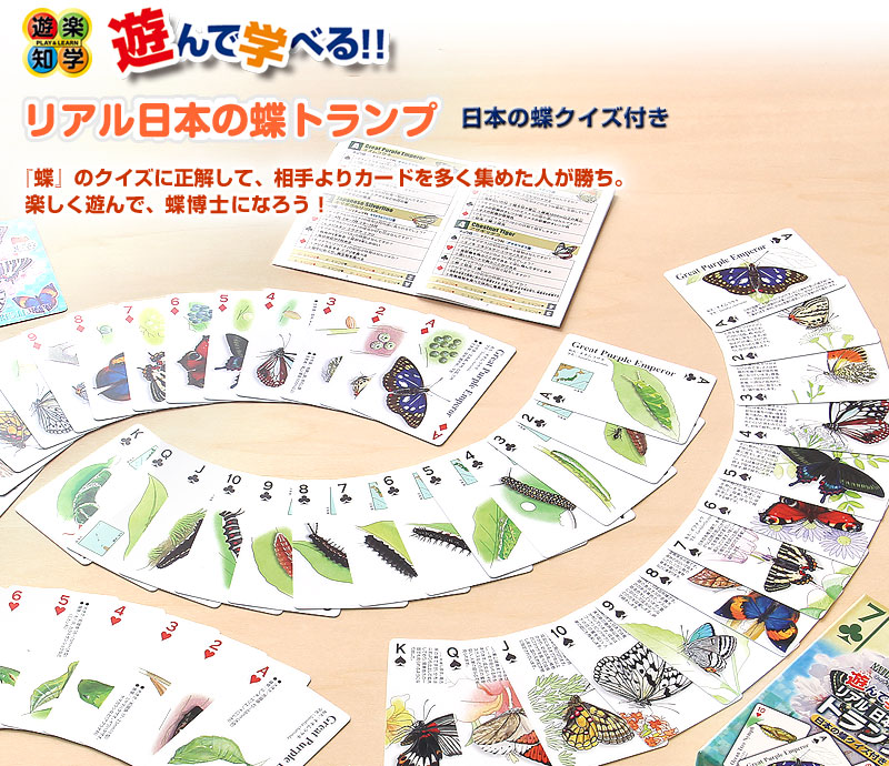  日本の蝶クイズ付 リアル 日本の蝶トランプ