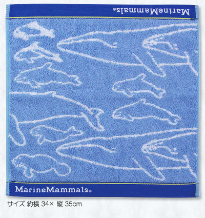 ウォッシュタオル 海の哺乳類 ブルー
