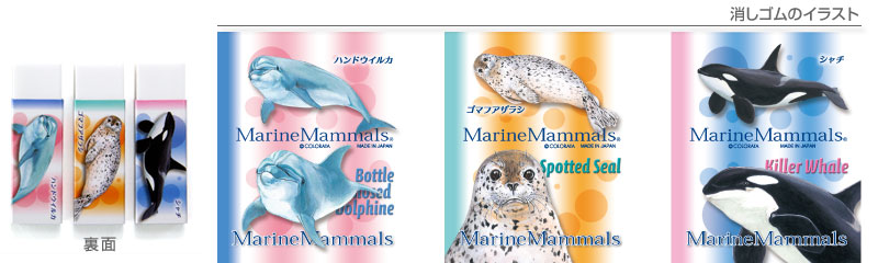 動物 生物 消しゴム3個セット ハンドウイルカ カロラータ オンラインショップ