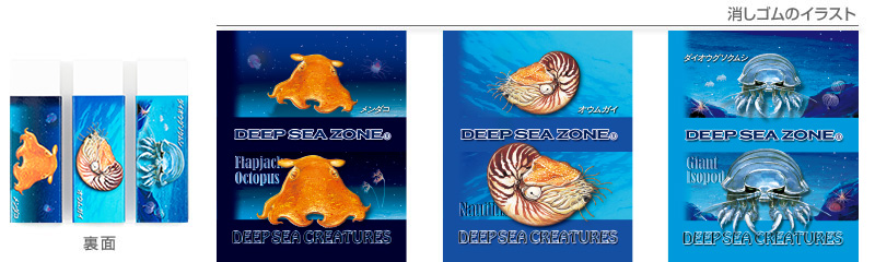 消しゴム3個セット 深海生物メンダコ、オウムガイ、ダイオウグソクムシのイラスト