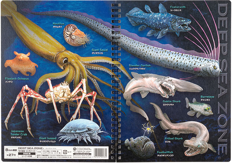 セミb5 リングノート 深海生物 動物 カロラータ オンラインショップ